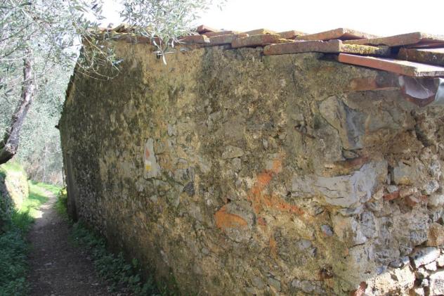 Rustico in vendita a Torcigliano - Camaiore 31 mq Rif: 1409772 - Foto 7