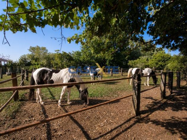 ?? MANEGGIO E CENTRO EQUESTRE – CIRCA 11.000 MQ