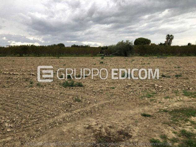 Magazzini e locali di deposito in vendita a Policoro - Rif. 4544506 - Foto 2