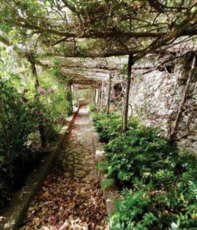 Immobile in asta di 404 m² con più di 5 locali in vendita a Capri - Foto 9