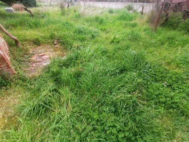 Fienile in vendita a Lunata - Capannori 120 mq Rif: 1385942 - Foto 2