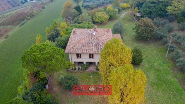 CALISESE di Cesena - VILLA in OTTIMO STATO con AMPIO PARCO PRIVATO ( 16.025 mq. ) - UNICA !! - Foto 13