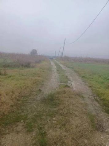 Immobile in asta di 1081 m² in vendita a Finale Emilia - Foto 6
