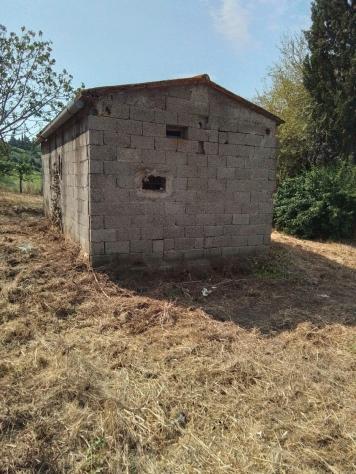 Terreno edif. residenziale in vendita a San Pietro In Belvedere - Capannoli 6500 mq Rif: 1337843 - Foto 3