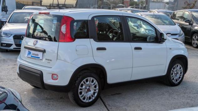 FIAT Panda 1.0Hybrid Firefly 70cv rif. 24182298 - Foto 3