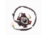Statore 6 poli Pit Bike Quad ATV