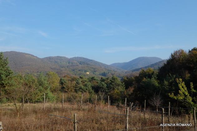 Casale in vendita a Pontinvrea - Foto 4