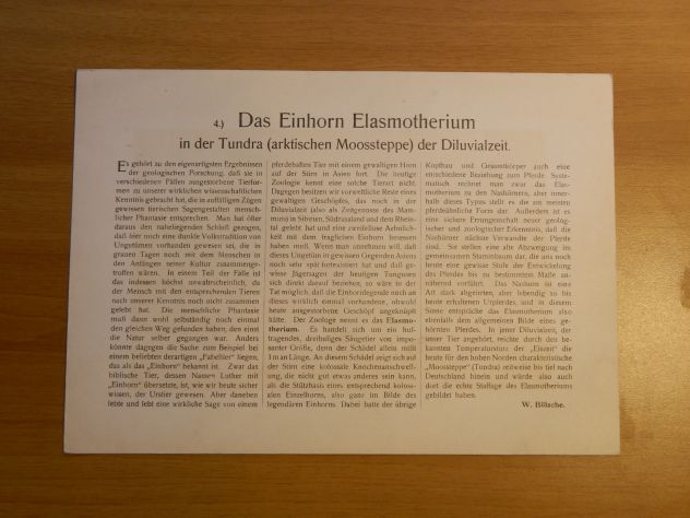 Serie di 8 litografie Harder-Bölsche: Tiere der Urwelt - Foto 7
