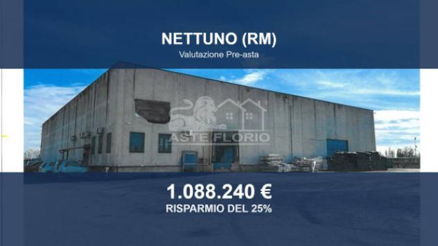 Immobile in asta di 3024 m² in vendita a Nettuno