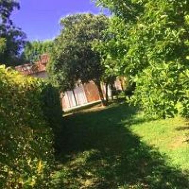 B&B Ai Gelsi