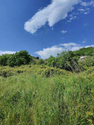 Terreno agricolo in vendita a Fossone - Carrara 5200 mq Rif: 1324905 - Foto 3