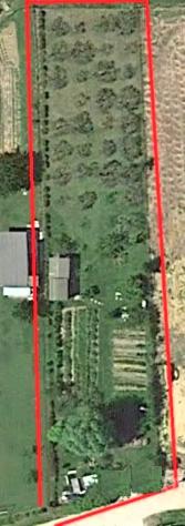 Terreno agricolo in vendita a Montopoli in Val d'Arno 1600 mq  Rif: 1395202