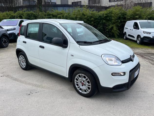 FIAT Panda Panda 1.0 FireFly S&S Hybrid - Foto 3