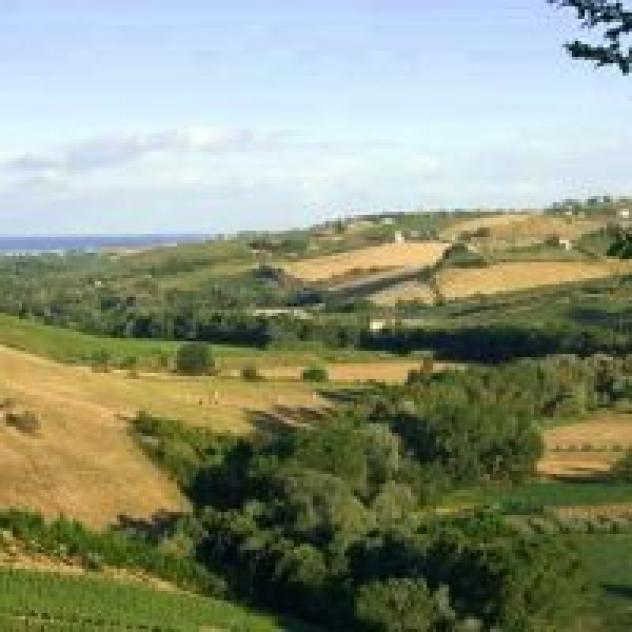 Agriturismo Due Carpini Societa' Agricola S.S. - Foto 3