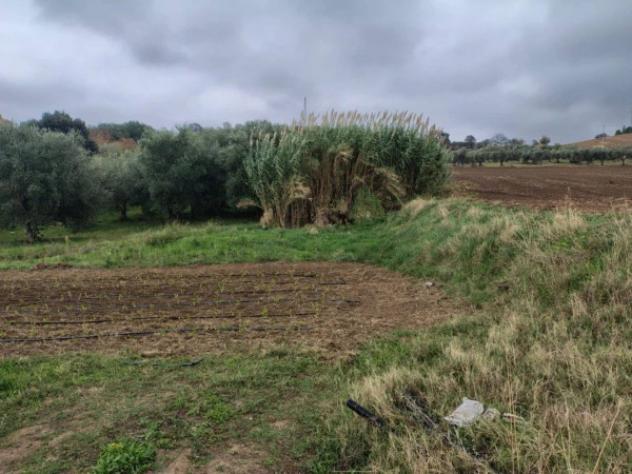Immobile in asta di 138900 m² in vendita a Ascoli Satriano - Foto 3