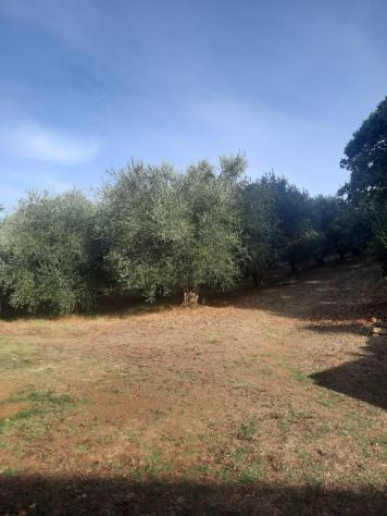 Rustico in vendita a Manciano 350 mq Rif: 1208657 - Foto 10