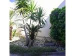 Hibiscus Villasimius B&B