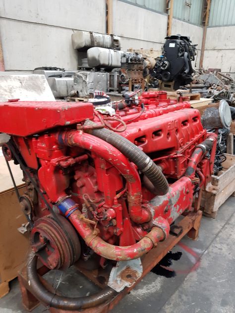 Motore MARINO USATO 8210SRM45 - Foto 3