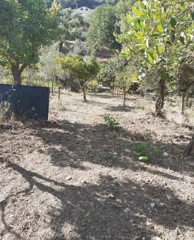 Terreno con depositi - Foto 4