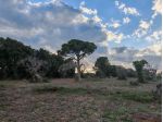 Terreno Agricolo