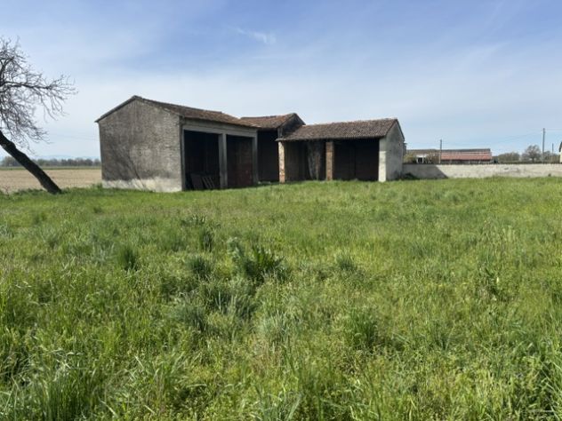 COMPPLESSO AGRICOLO " Corte del Chioso" in BASSA PARMESE A ROCCABIANCA (PR) - Foto 8