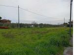 Area verde in vendita a Verucchio