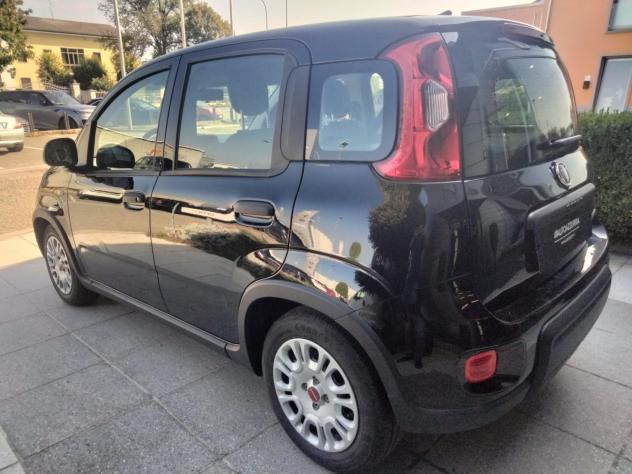 FIAT Panda 1.0 FireFly Hybrid S&S 70cv *PROMO AZZURRA* - Foto 4