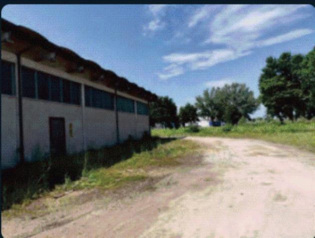Immobile in asta di 806 m² con più di 5 locali in vendita a Casale di Scodosia - Foto 5