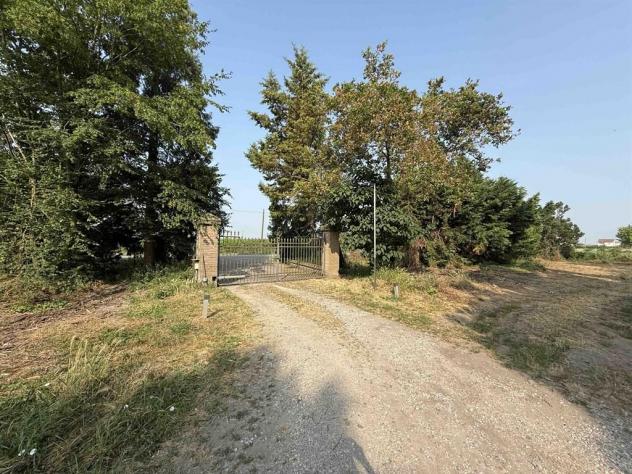 La bifamiliare col boschetto: un angolo di natura e spazio ad Alfonsine - Foto 9