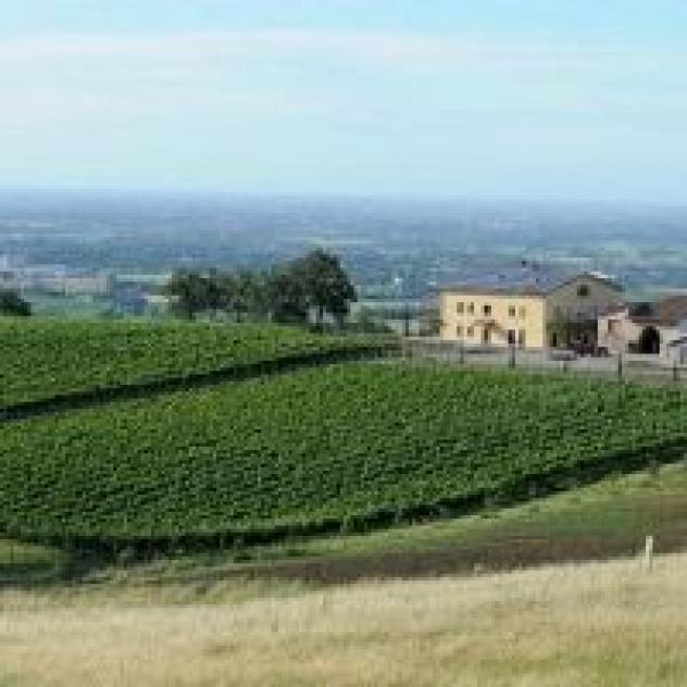 Rtp S.r.l. Societa' Agricola - Foto 3