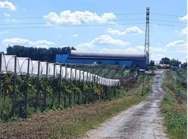 Immobile in asta di 15000 m² in vendita a Licodia Eubea - Foto 2