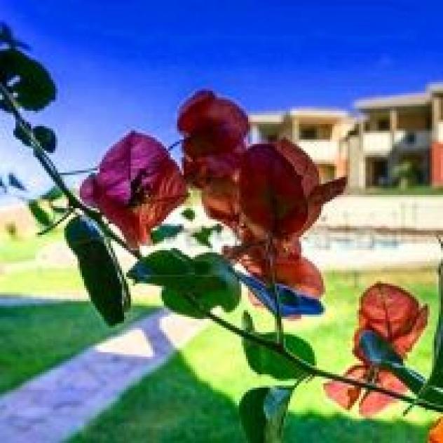 Residenza Le Farfalle