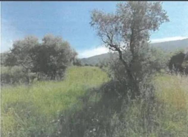 Immobile in asta di 9061 m² in vendita a Vaiano - Foto 3