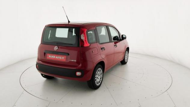 FIAT Pandina 1.0 FireFly 65 CV Hybrid Pop rif. 24152436 - Foto 7