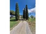 Terratetto in vendita a Venturina Terme - Campiglia Marittima 267 mq  Rif:  &hellip;