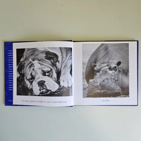 Il Libro Blu delle Coccole - Bradley Greive - Mondadori - 2004 - TRACCIATA! - Foto 7
