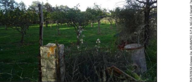 Immobile in asta di 258216 m² in vendita a Loiri Porto San Paolo - Foto 7