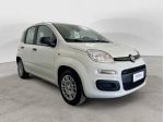 FIAT Panda 1.0 FireFly 70cv S&S Hybrid Pandina