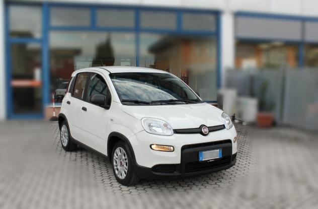 FIAT Panda 3ª serie Panda 1.0 FireFly S&S Hybrid - Foto 2