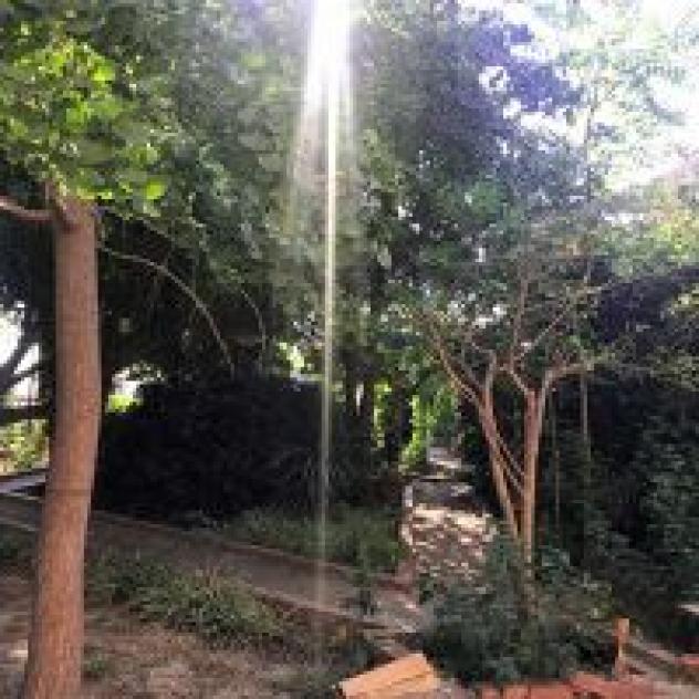 B&B Macrina Noto - Foto 3