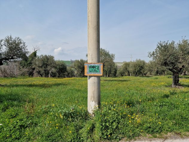 TERRENO EDIFICABILE AGRICOLO ROSCIANO