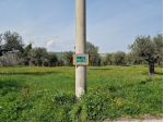 TERRENO EDIFICABILE AGRICOLO ROSCIANO