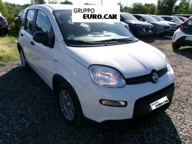 FIAT Panda Panda 1.0 firefly hybrid s&s 70cv 5p.ti - Foto 2