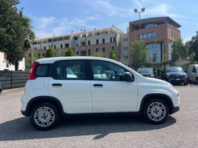 FIAT Panda 1.0 FireFly S&S Hybrid 70CV UNICO PROPRIETARIO rif. 23675530 - Foto 4