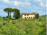 Casale in vendita a Palaia 240 mq  Rif: 1266520