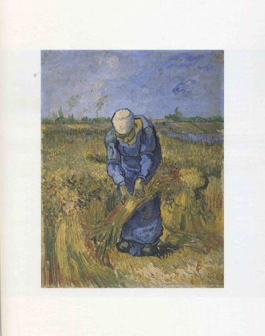 VAN GOGH - Foto 9