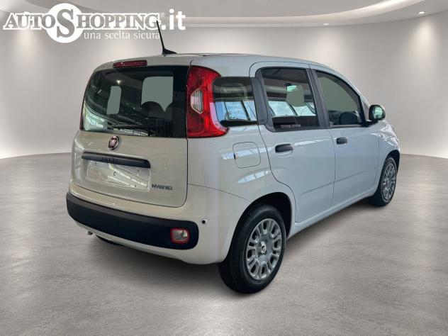FIAT Pandina Panda III 1.0 firefly hybrid Icon s&s 65cv 5p.ti - Foto 4