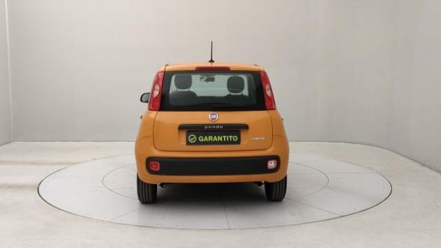 FIAT Panda 1.0 hybrid Easy s&s 70cv rif. 22540706 - Foto 4