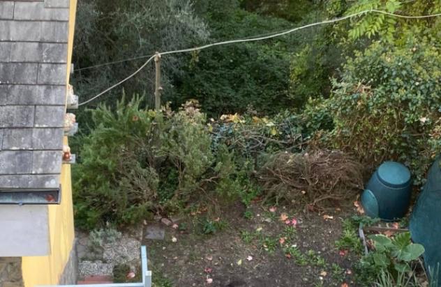 Immobile in asta di 67 m² in vendita a Montalto Carpasio - Foto 6