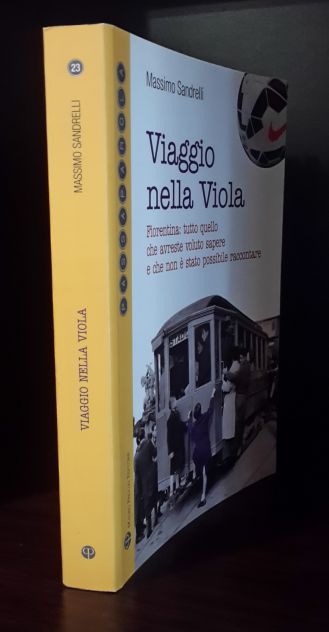 Viaggio nella viola, Massimo Sandrelli, Mauro Pagliai Editore, Dicembre 2014. - Foto 4